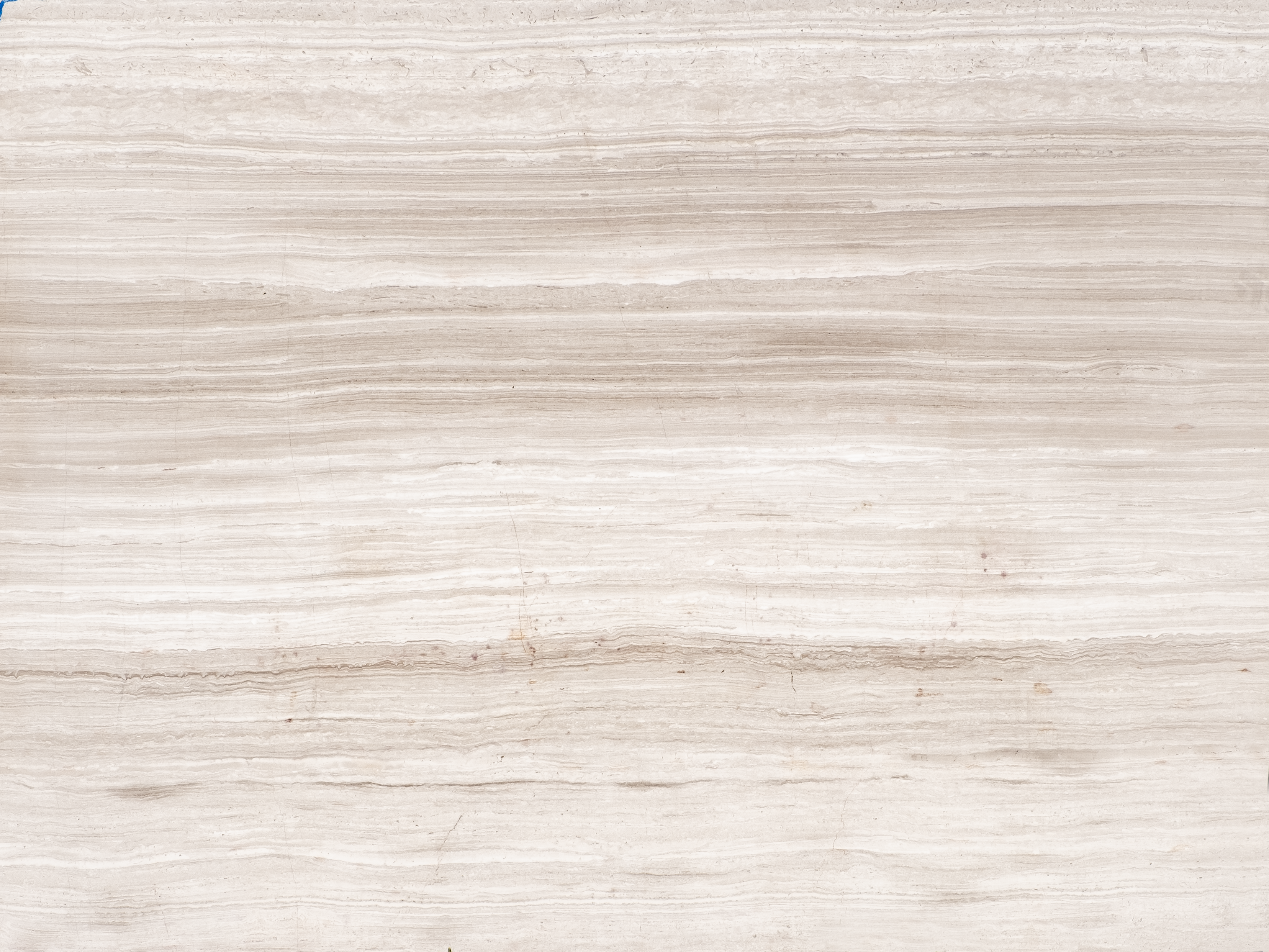 Limestone Serpeggiante