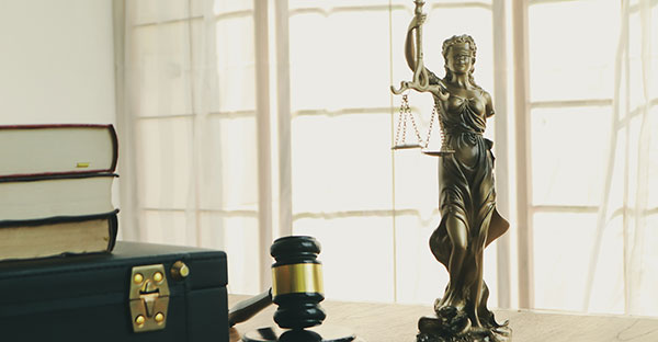 Expert Witness Animation Los Angeles