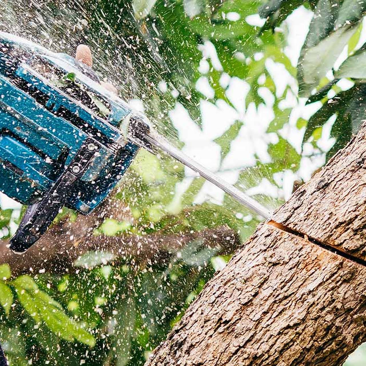 Leeds Tree Service Llc Yukon Ok