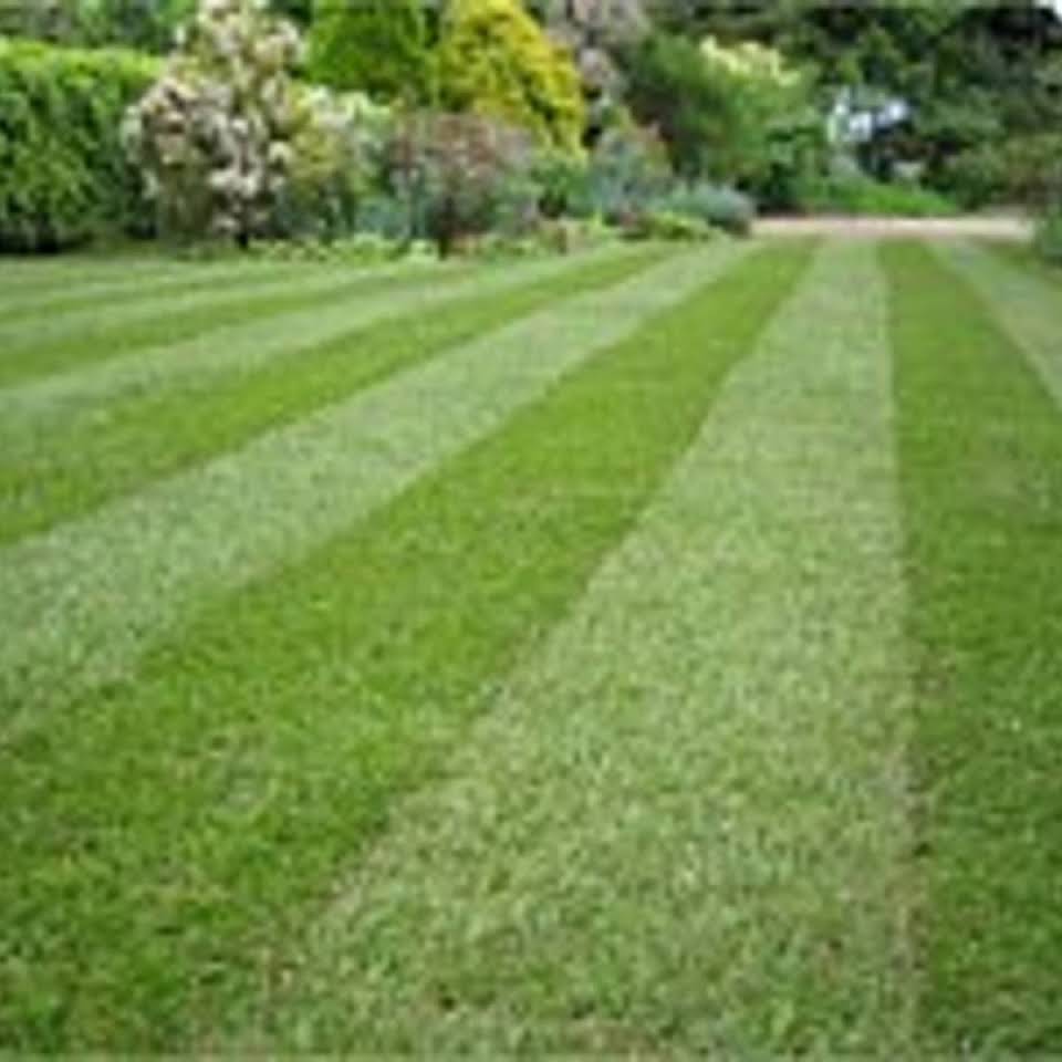 Leeds Tree Service Llc Pa