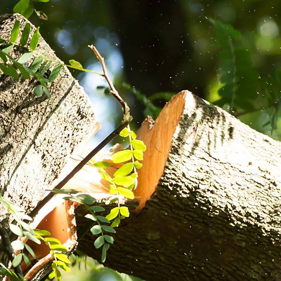 Leeds Tree Service Llc East Stroudsburg Pa