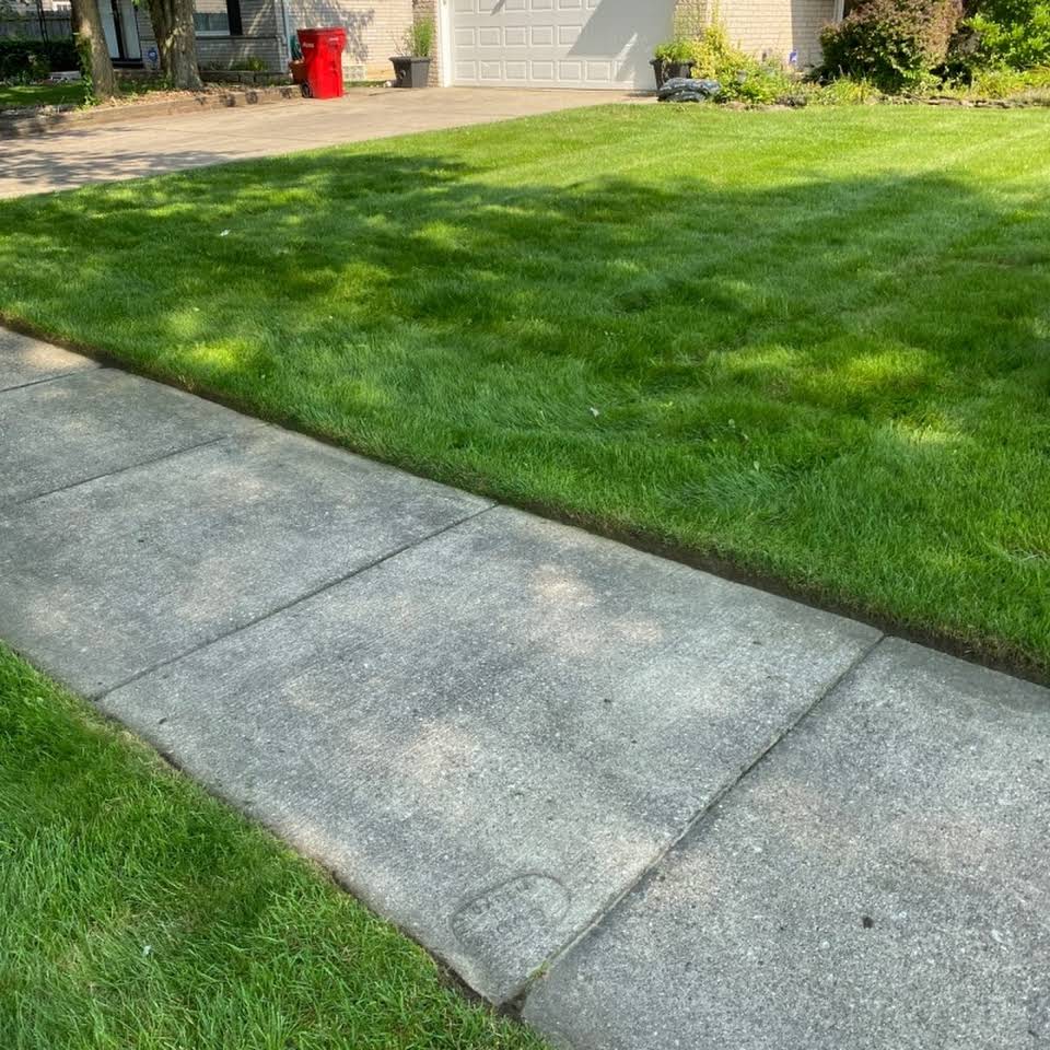 Leeds Tree Service Llc Kentwood Mi 49512
