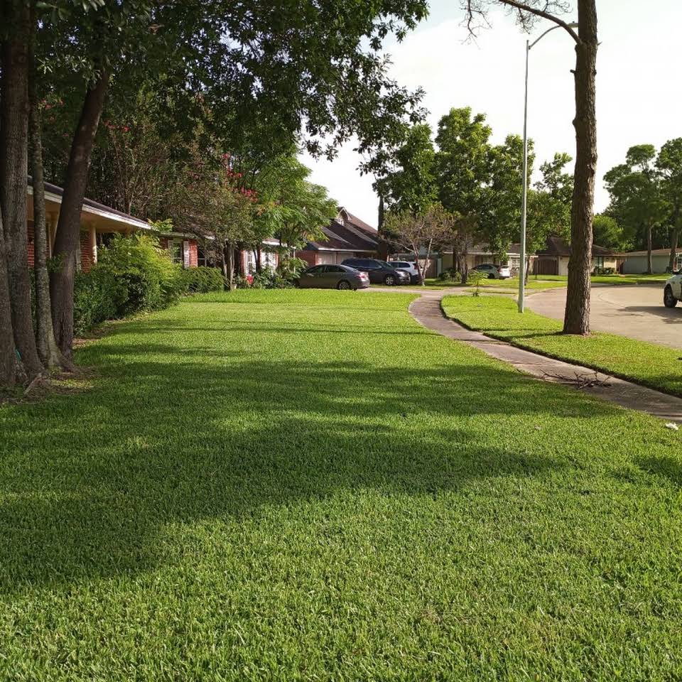 Leeds Tree Service Llc Idaho