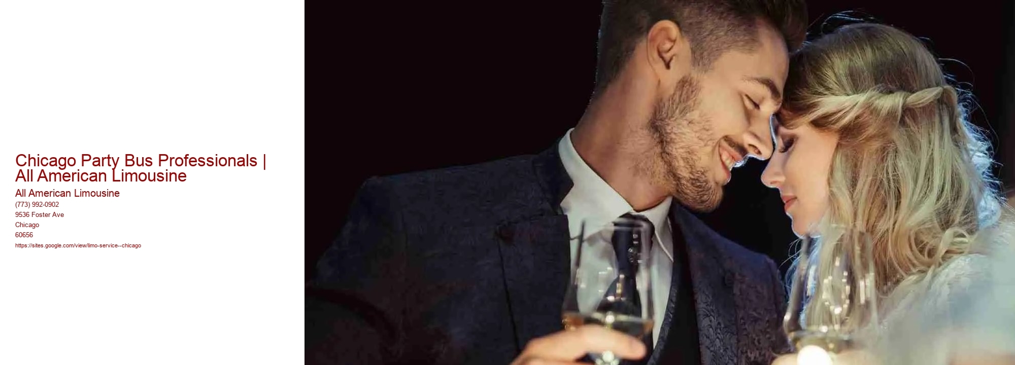 Chicago Party Bus Professionals | All American Limousine