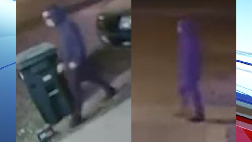 Ammon burglaries