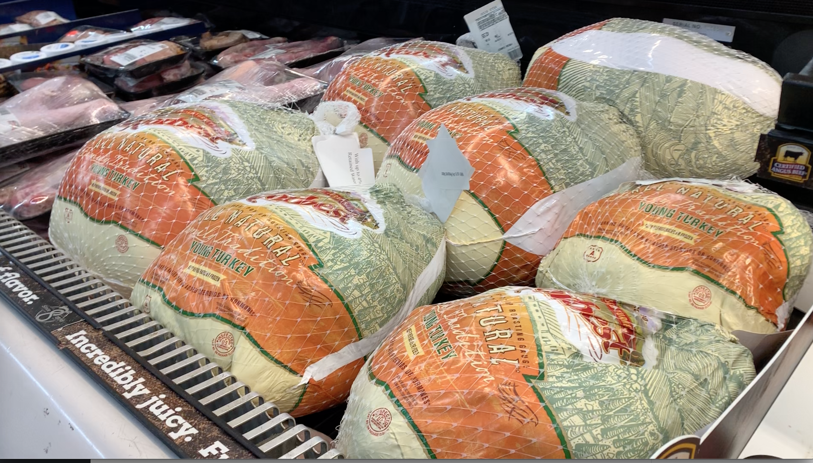 thanksgiving turkey