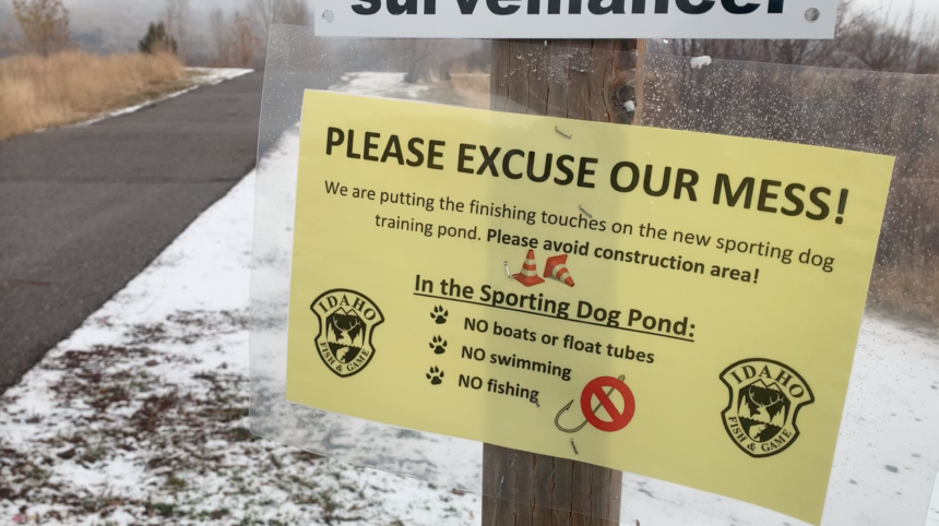 edson fichter dog pond under construction