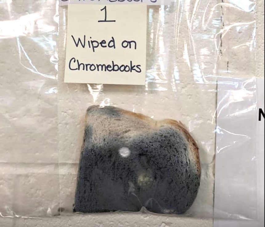 Bread experiment