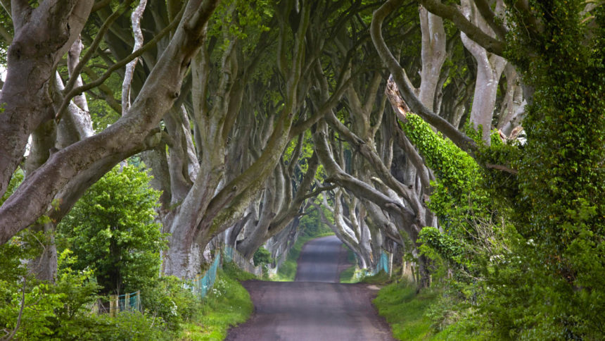 Northern Ireland