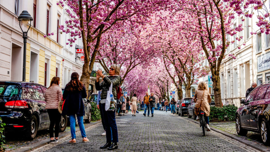 Tourists are seen walking and taking photos around the