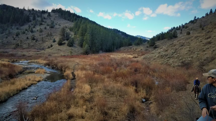 BearCreek