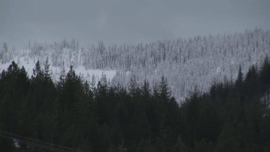 One Person Dead, Five Rescued in Avalanche at Ski Resort