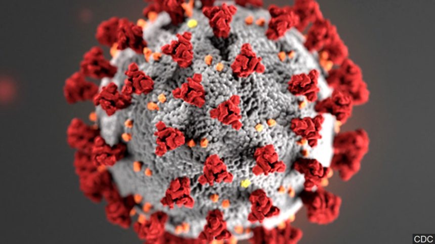 Coronavirus Disease (COVID-19)