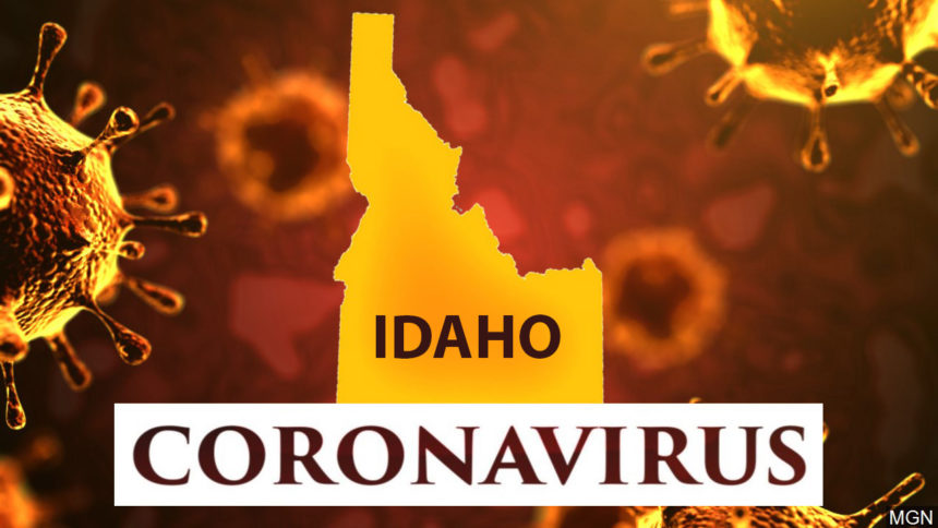 31 new confirmed Idaho COVID-19 cases, new cases in Bonneville, Bannock - Local News 8 - LocalNews8.com