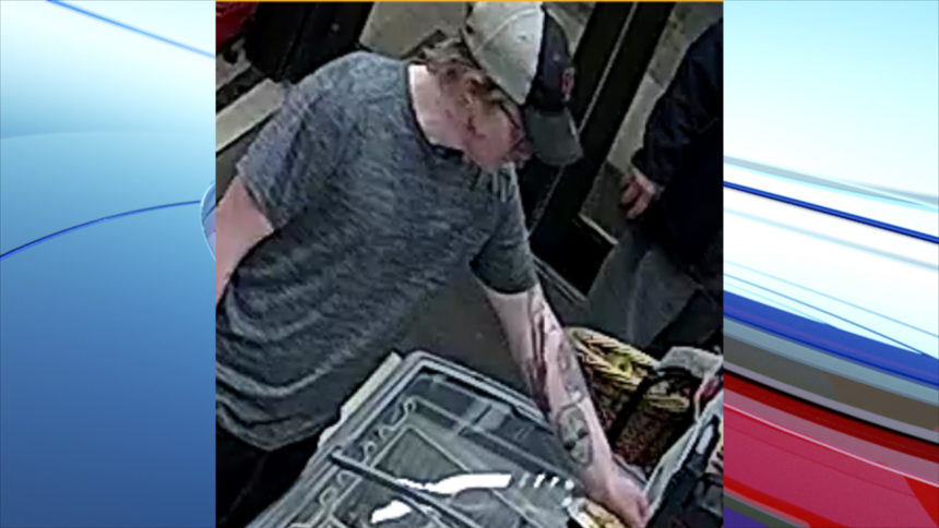 Idaho Falls burglary suspect2