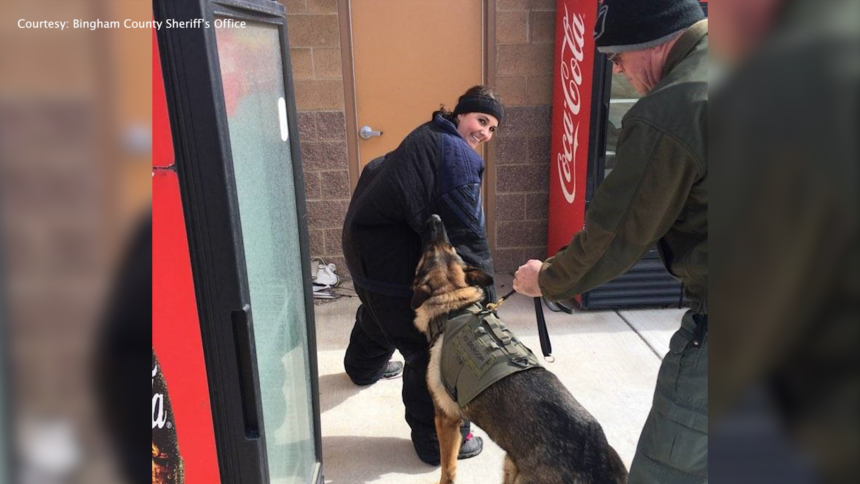 Bingham County deputy in training