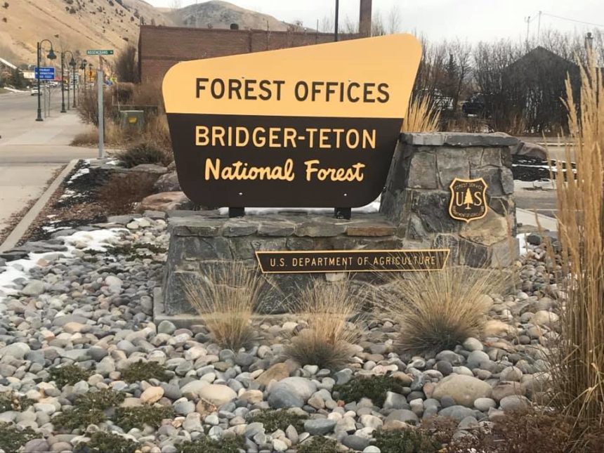 btnf sign