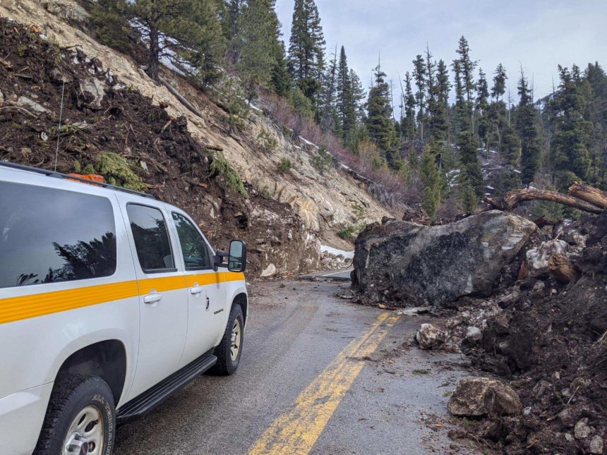 Highway 21 cleanup20_A path was punched through, allowing machinery to pass through and work on slides beyond this one.