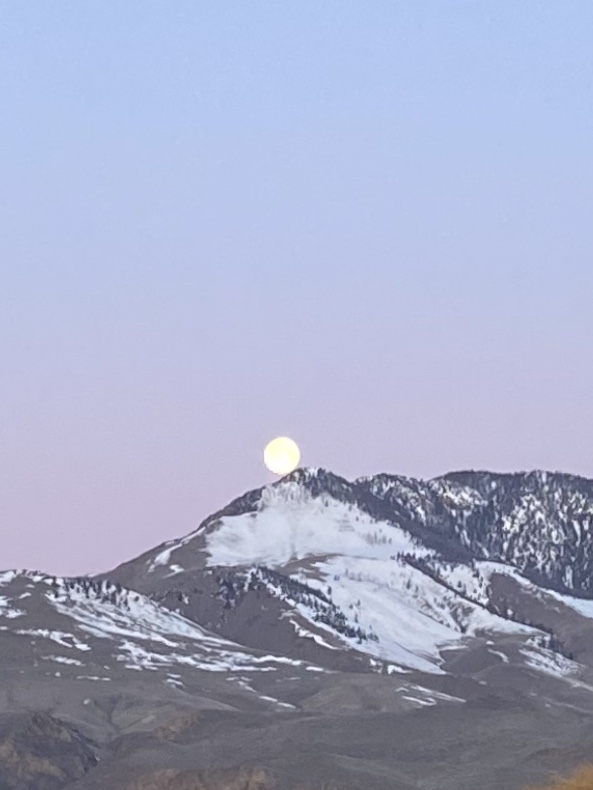 SUPER PINK MOON Christine Last Name- Joyner