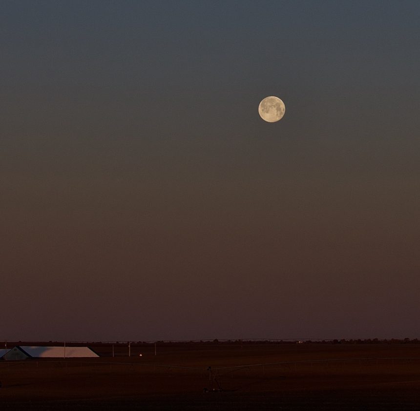 SUPER PINK MOON Rick Lords