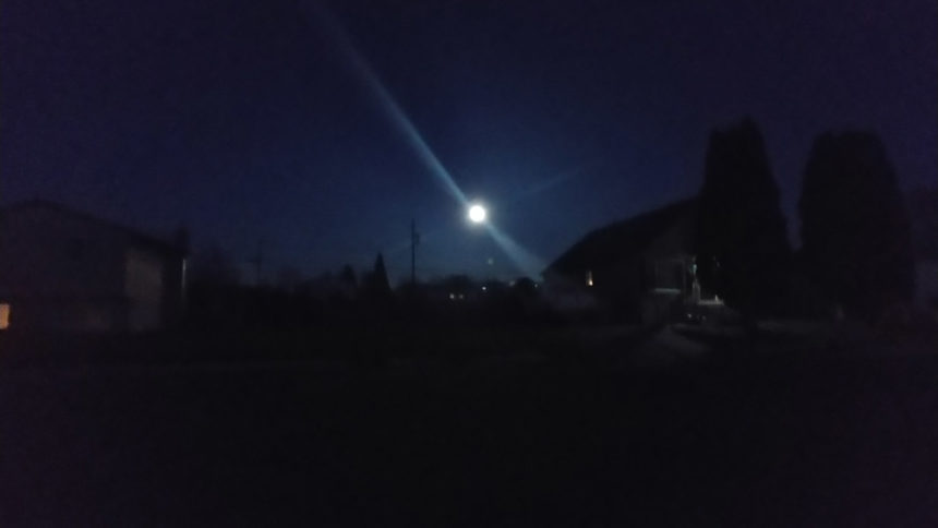 SUPER PINK MOON Sheila Last Name- Bee
