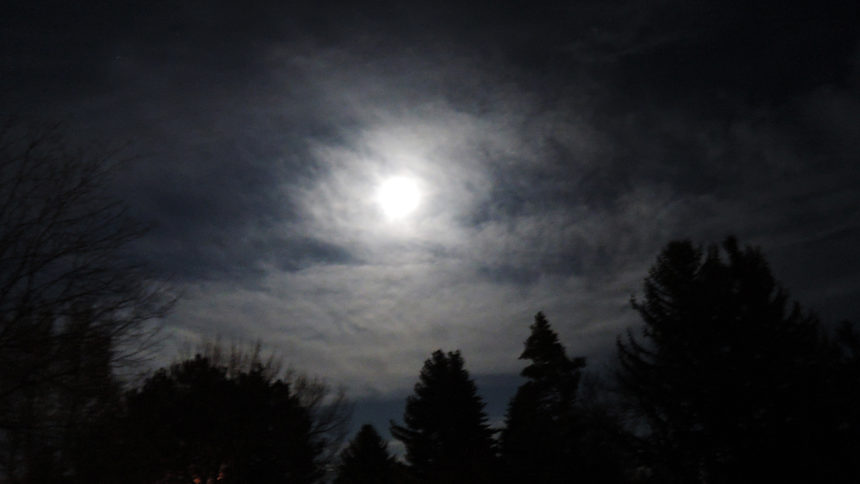 Super Pink Moon Marge Last Name- Foster