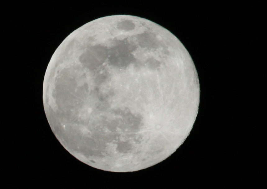 Super Pink Moon VICKI Last Name- NEWMAN