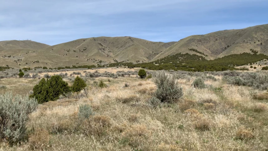 century heights preserve