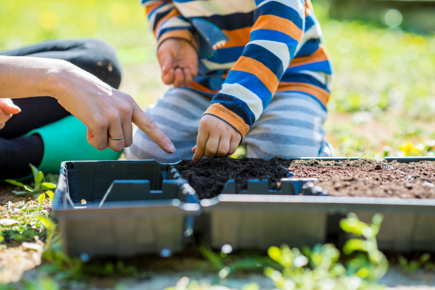Small boy helping his mother do the planting