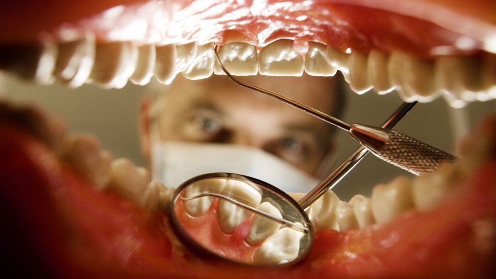 ameritas dental network