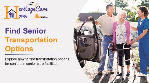 Learn where to find transportation options for a senior