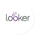Looker bi tools