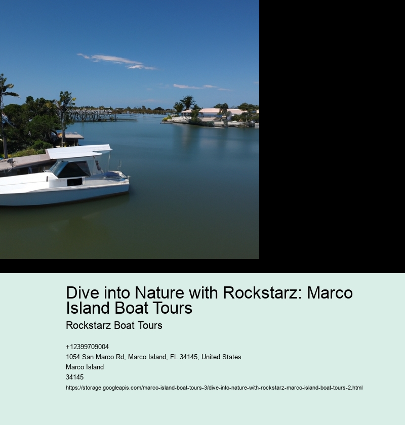 Dive into Nature with Rockstarz: Marco Island Boat Tours