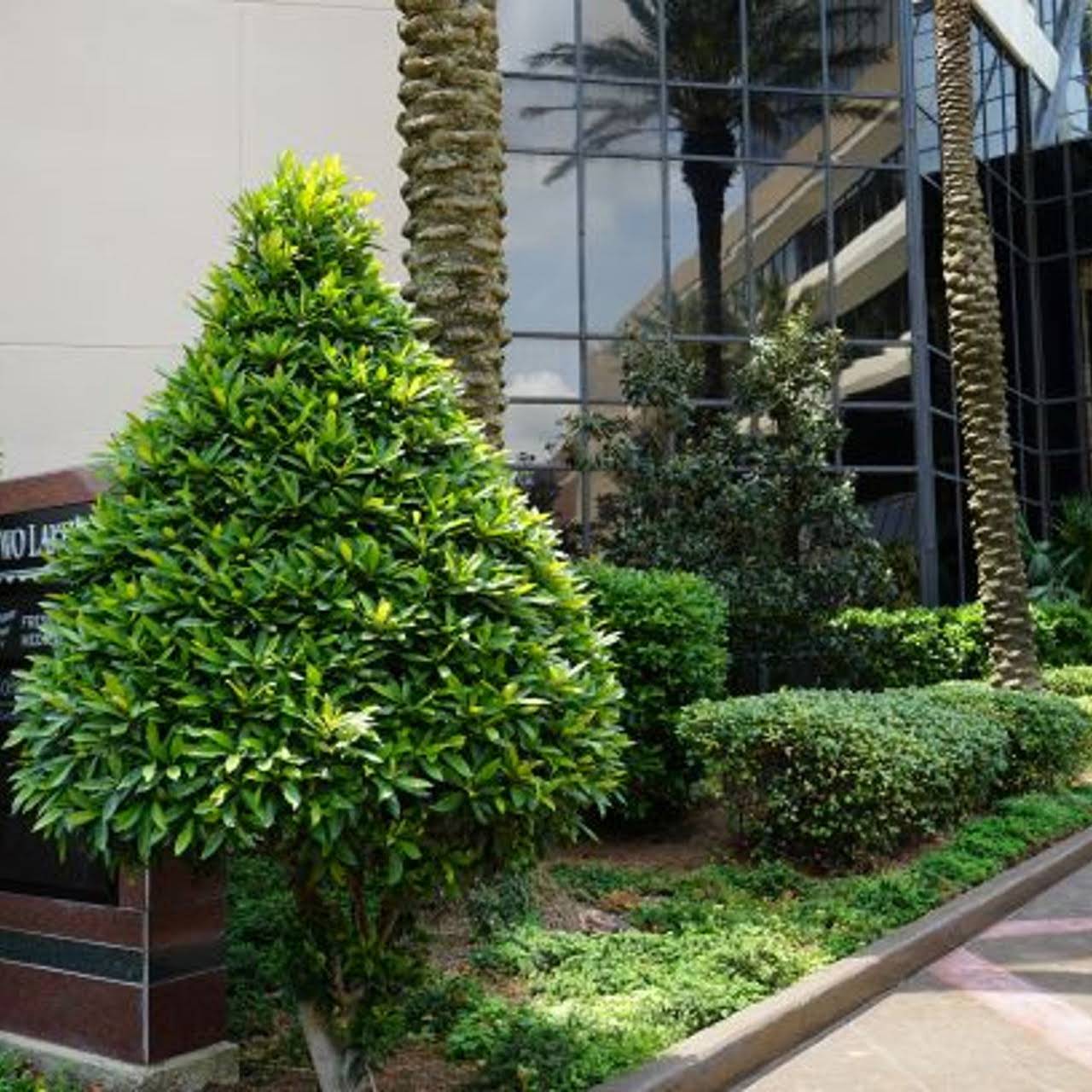 Metairie Landscaper Llc Keys
