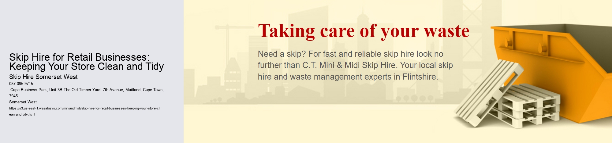 Skip Hire for Retail Businesses: Keeping Your Store Clean and Tidy
