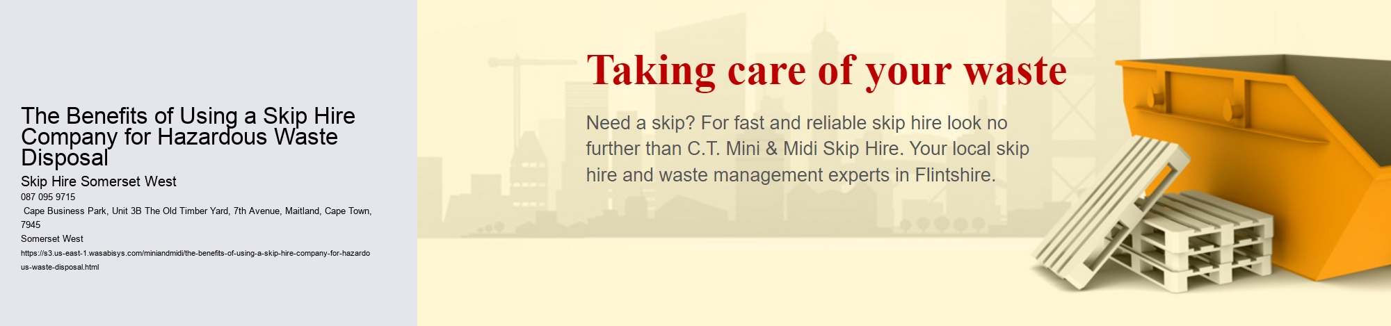 The Benefits of Using a Skip Hire Company for Hazardous Waste Disposal