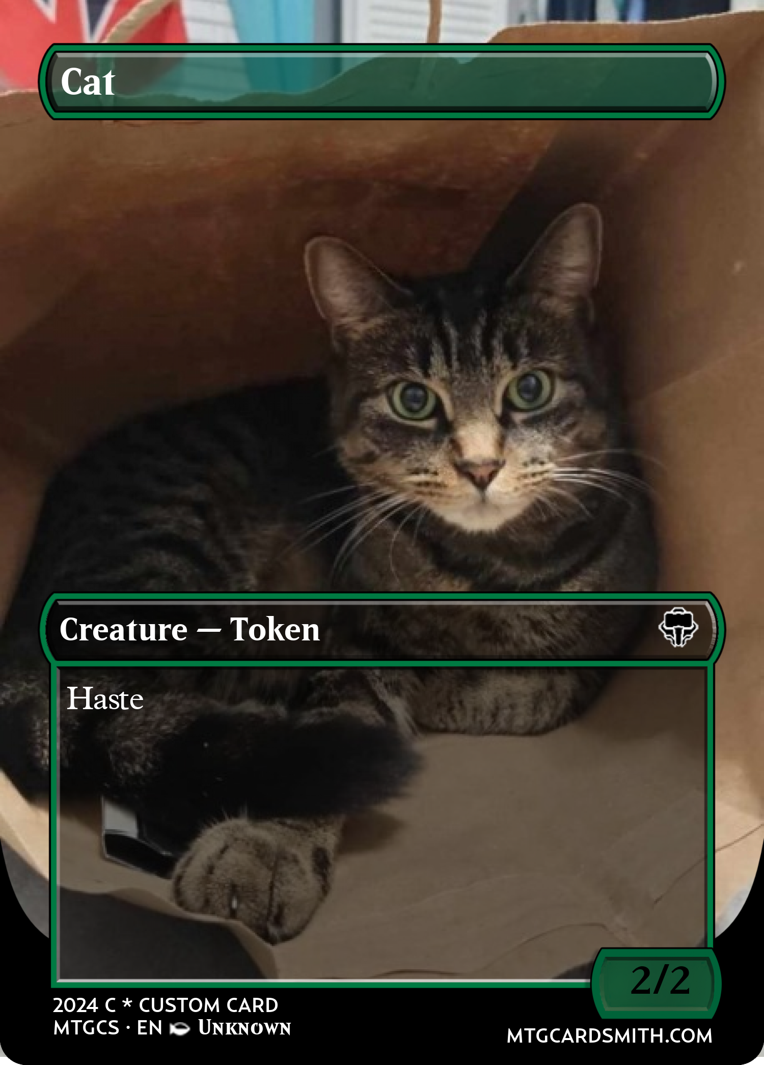 Cat