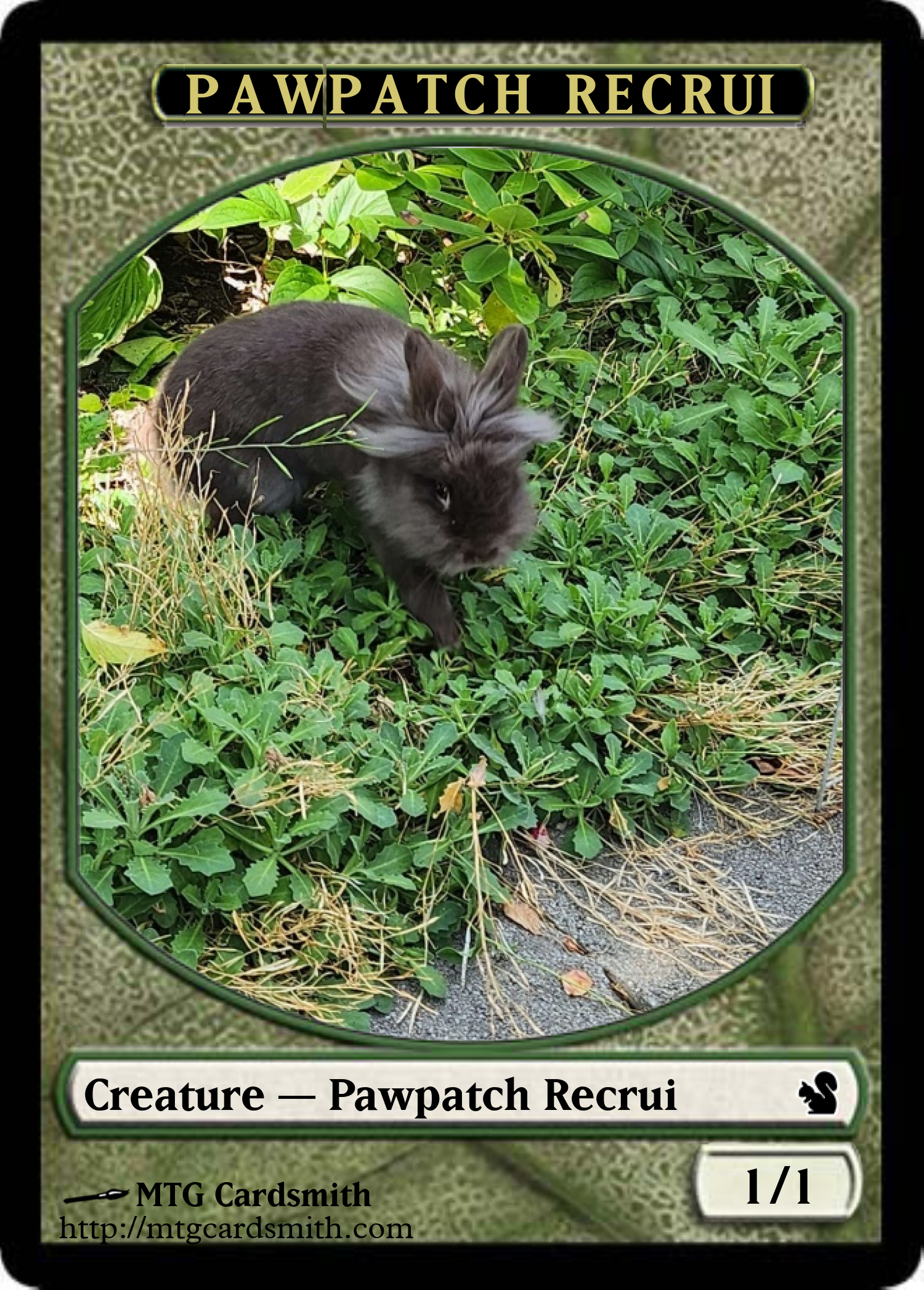 Pawpatch Recrui