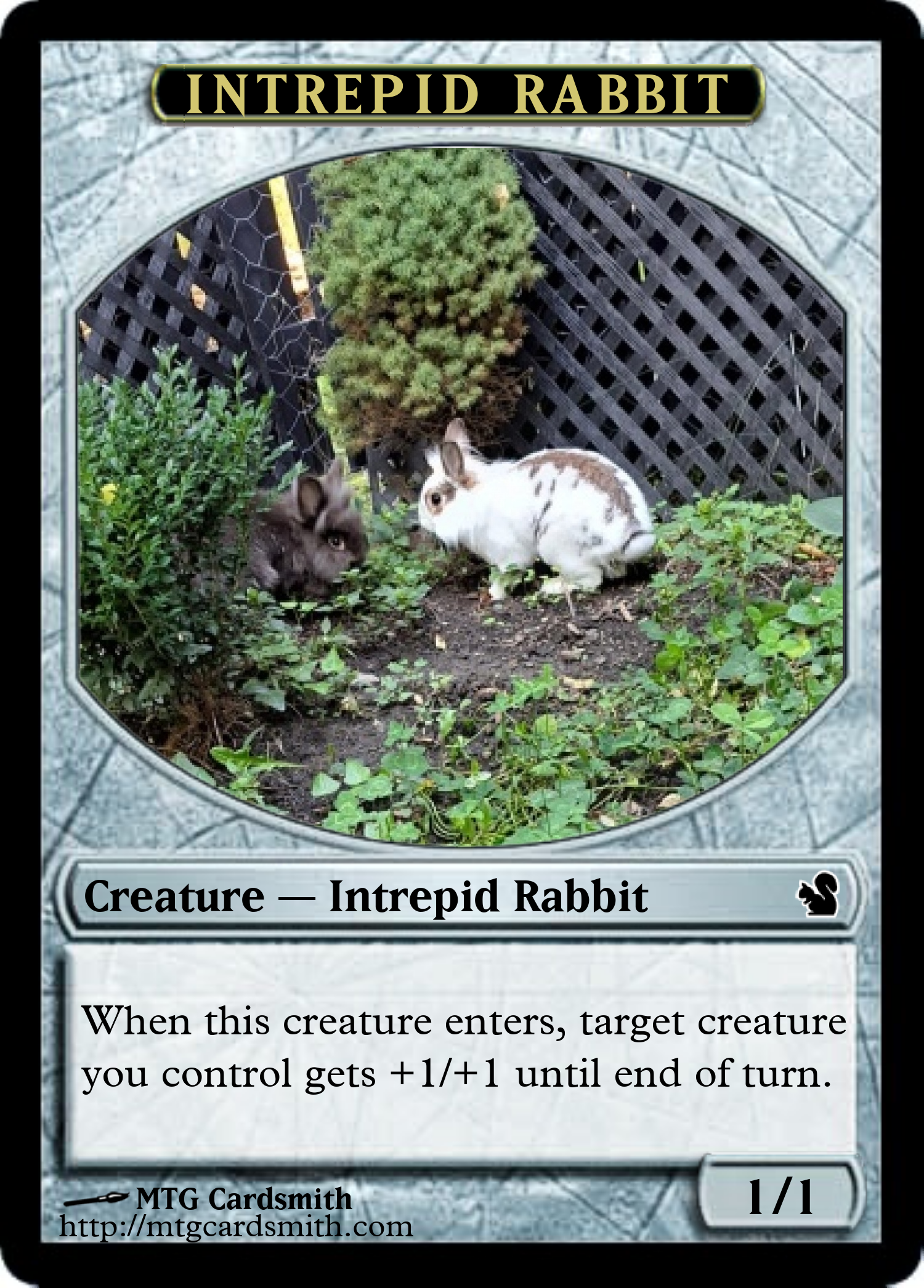 Intrepid Rabbit
