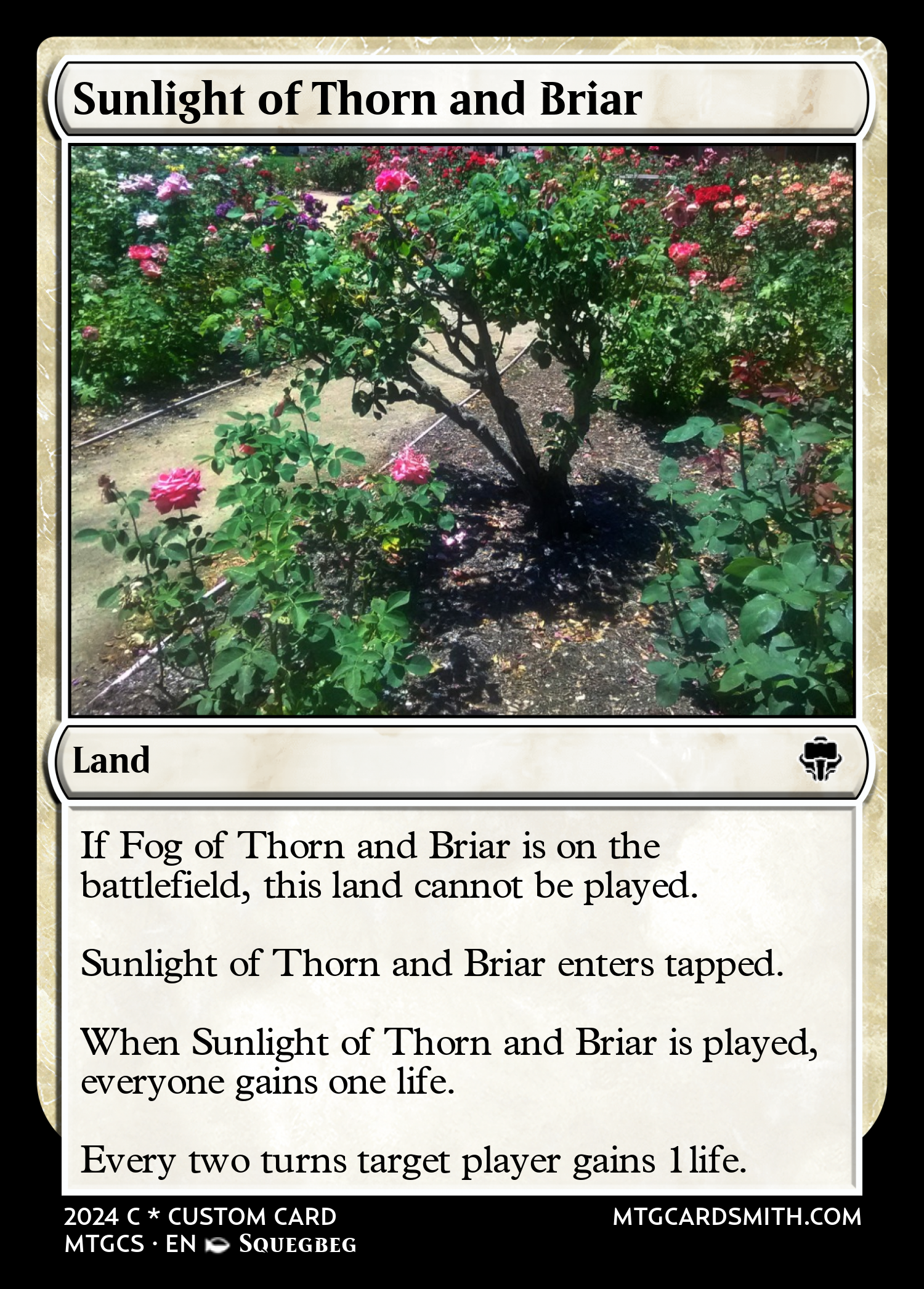 Sunlight of Thorn and Briar