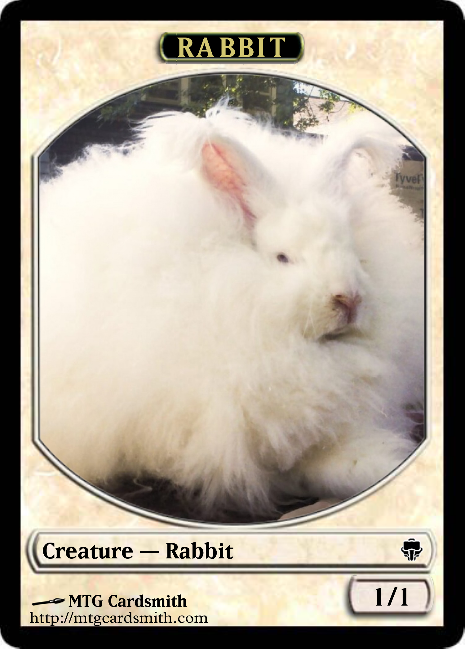 Rabbit