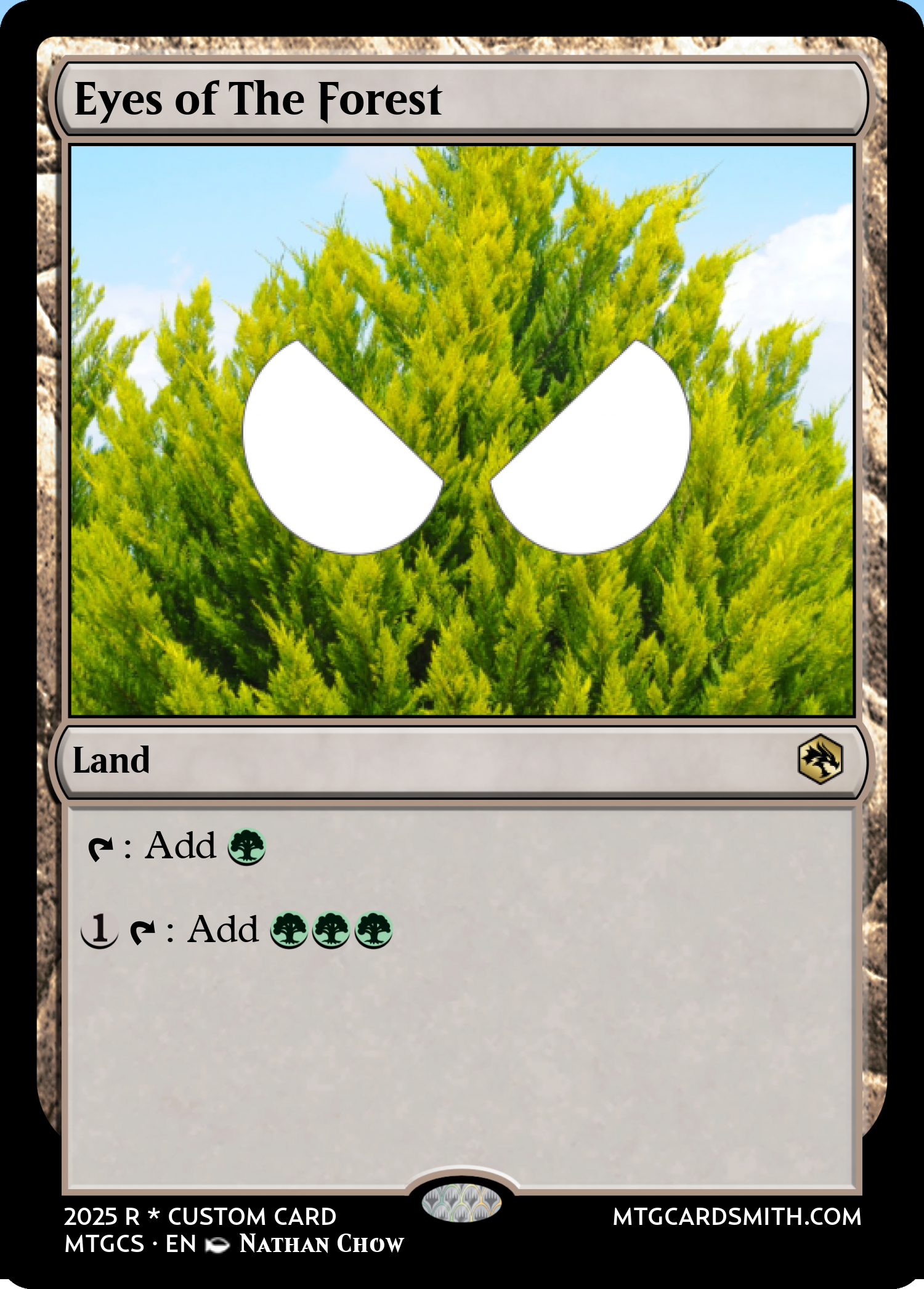Eyes of The Forest
