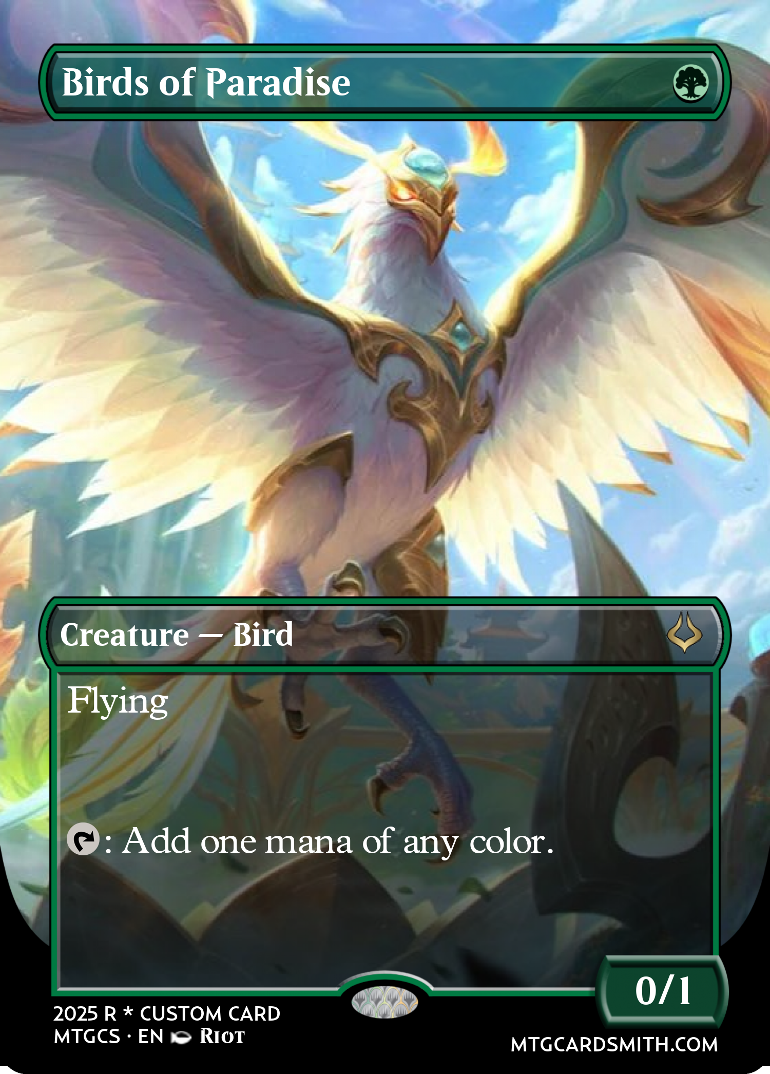 Birds of Paradise