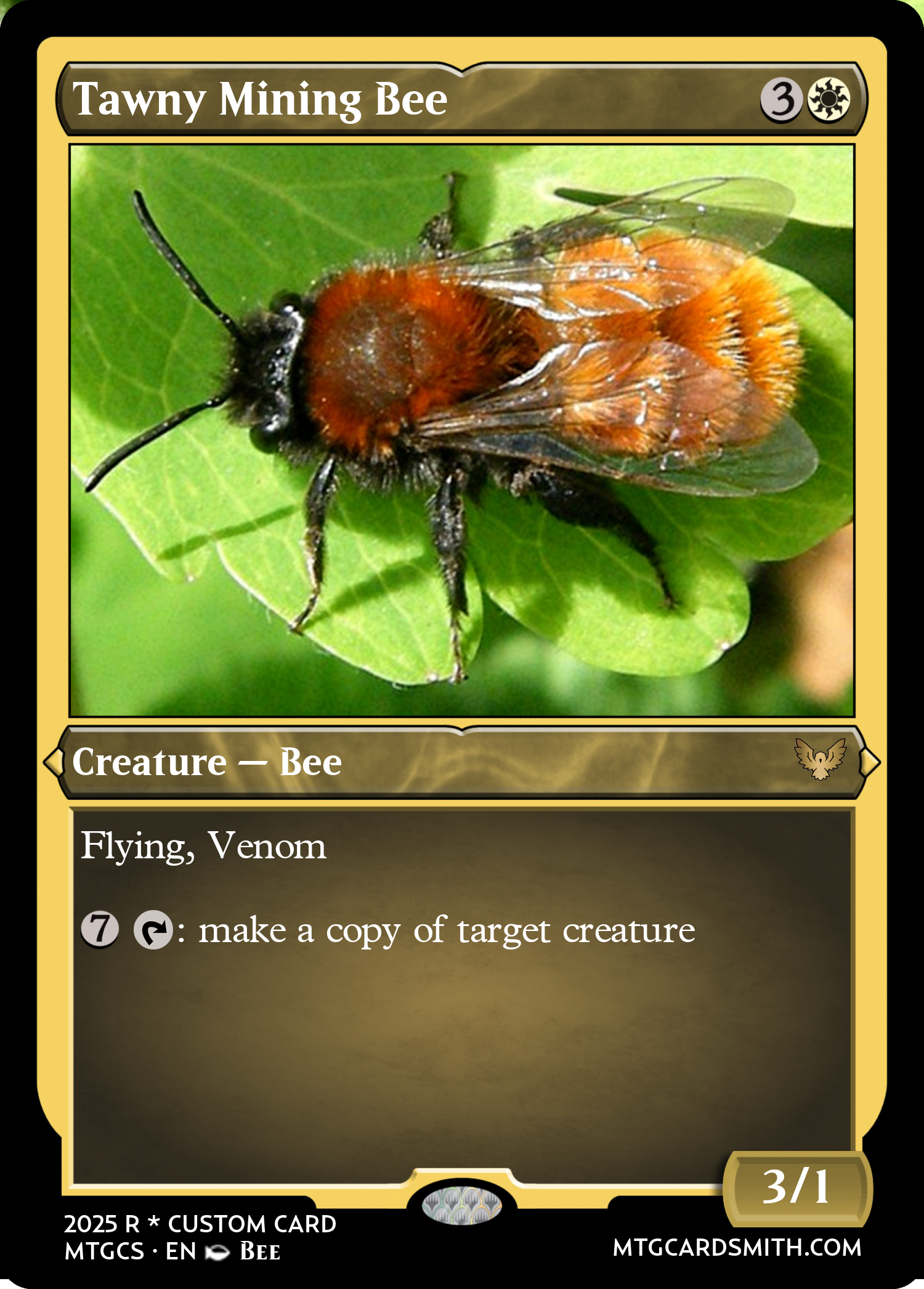 Tawny Mining Bee