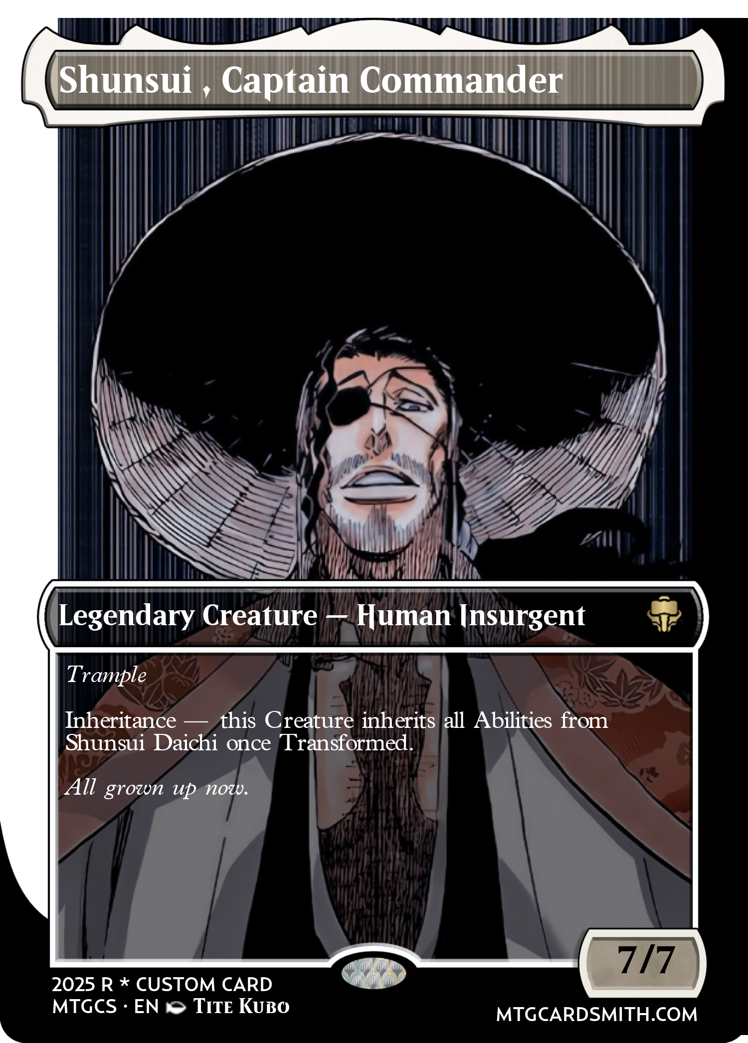 Shunsui , Captain Commander 