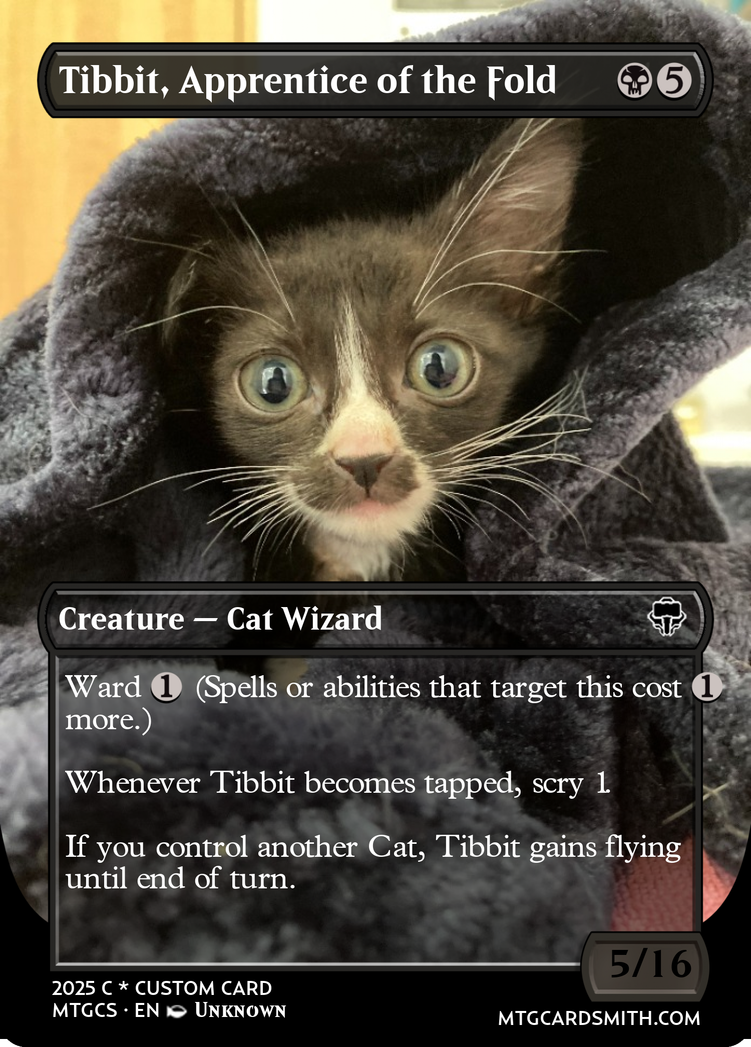Tibbit, Apprentice of the Fold