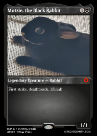 Motzie, the Black Rabbit