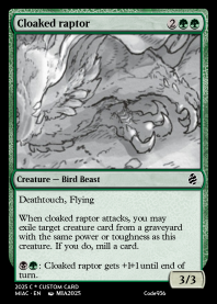 Cloaked raptor