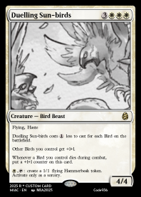 Duelling Sun-birds