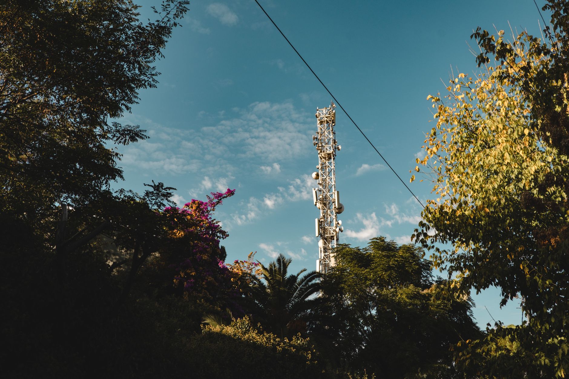 5G vale a pena no Brasil? Veja quando compensa A telecommunication tower rises above trees and foliage against a clear blue sky, symbolizing technology in nature.